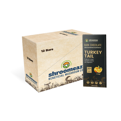 Shroomeaz Chocolate Bars Case (12 Bars)